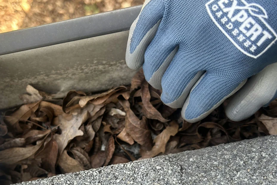 Gutter Cleaning Woodfin