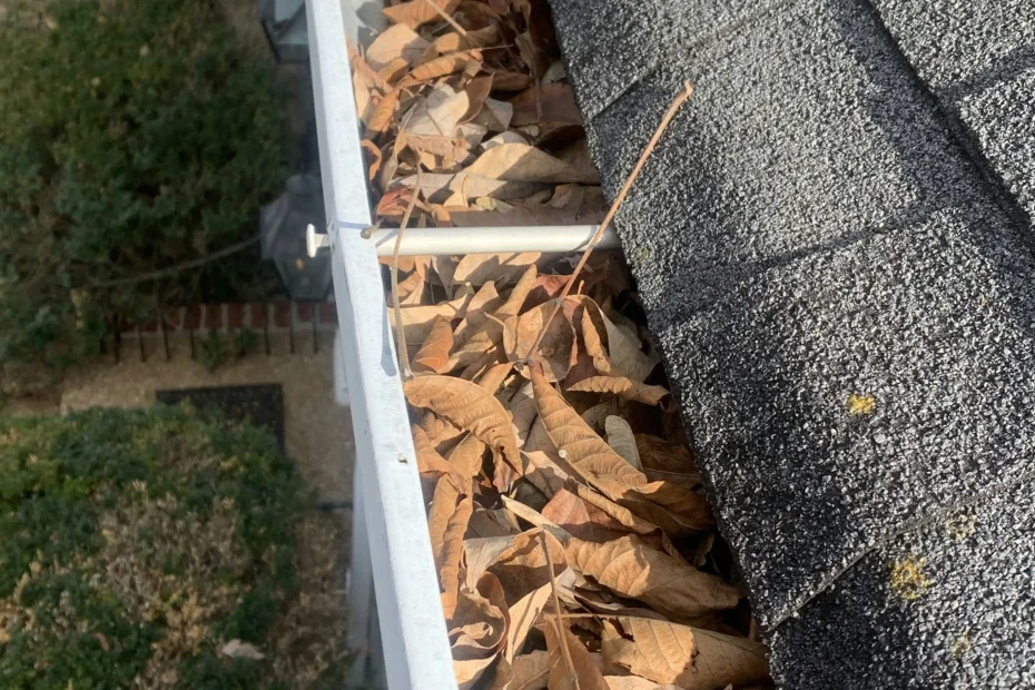 Gutter Cleaning Woodfin