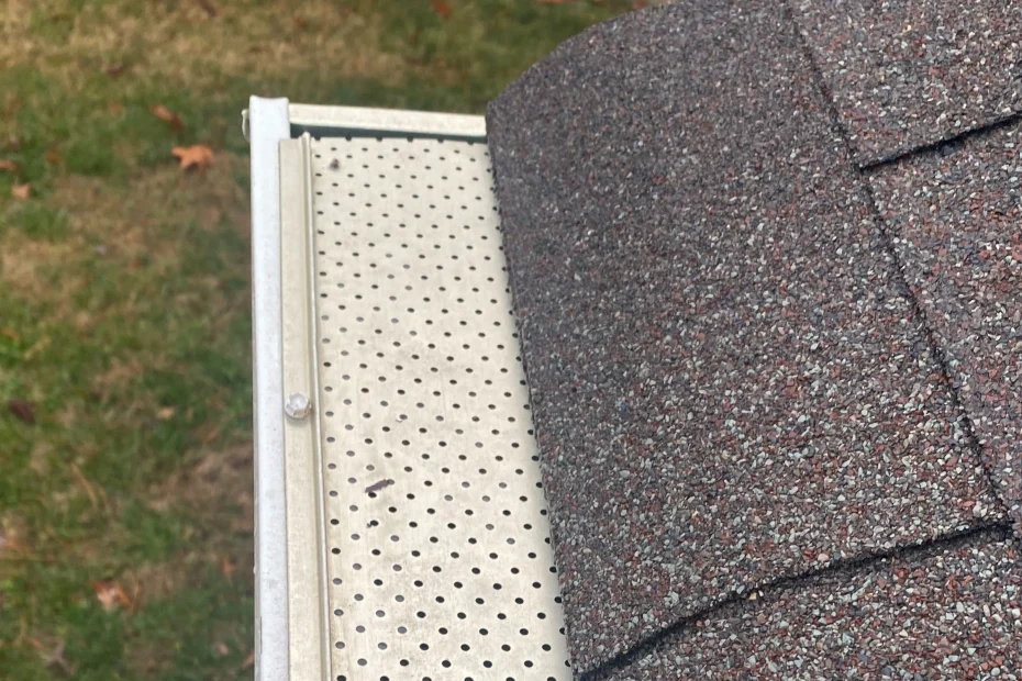 Gutter Cleaning Woodfin